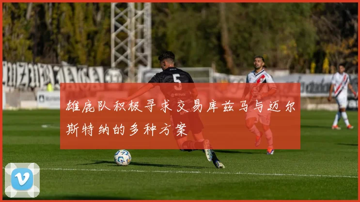 雄鹿队积极寻求交易库兹马与迈尔斯特纳的多种方案