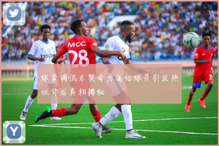 球爹调侃东契奇为高估球员引发热议背后真相揭秘